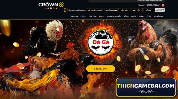 Một nhà cái cá cược tổng hợp hàng đầu hiện nay chính là CROWN88. Hãy đến với bài viết chi tiết dưới đây để cùng tìm hiểu về CROWN88V hàng đầu này nhé.